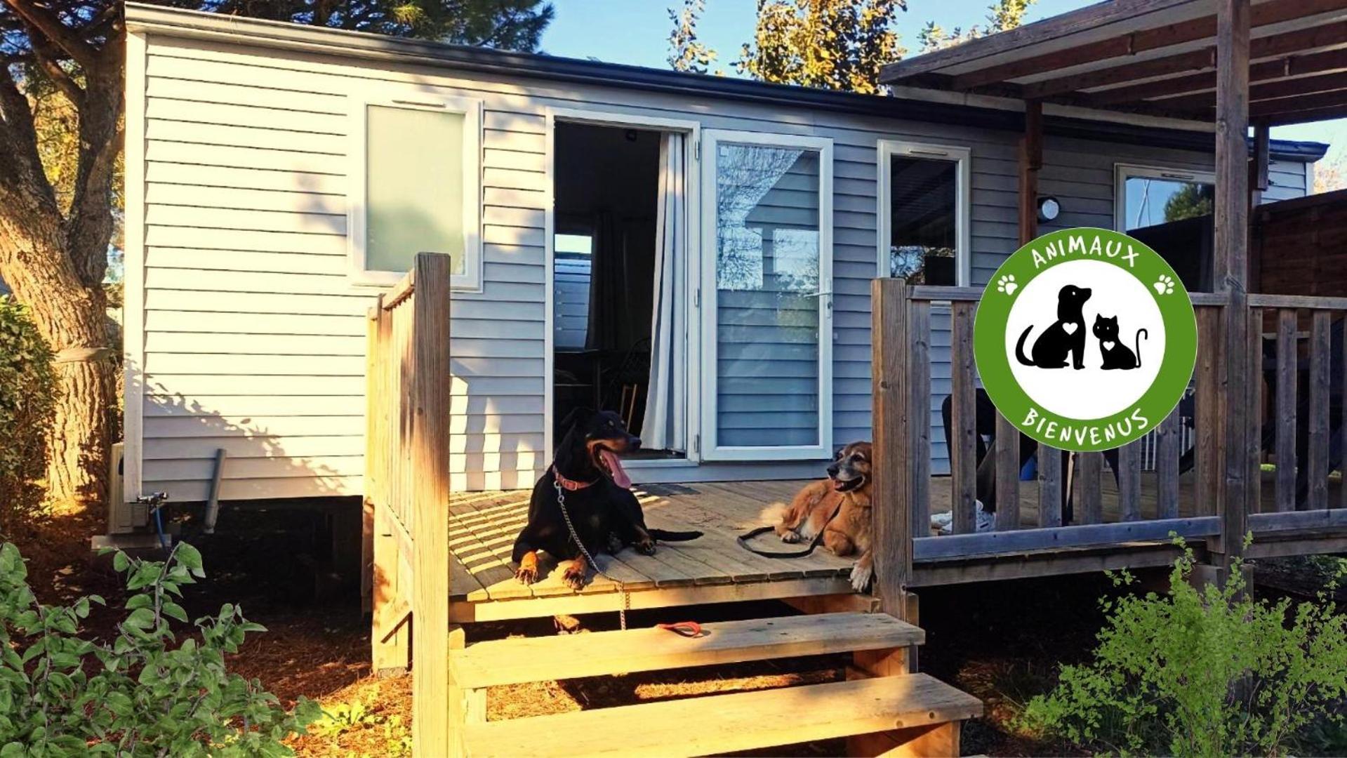 Entre Mer Et Roseaux - Piscine - Proche Centre Et Mer - Petfriendly 포르트라누벨 외부 사진
