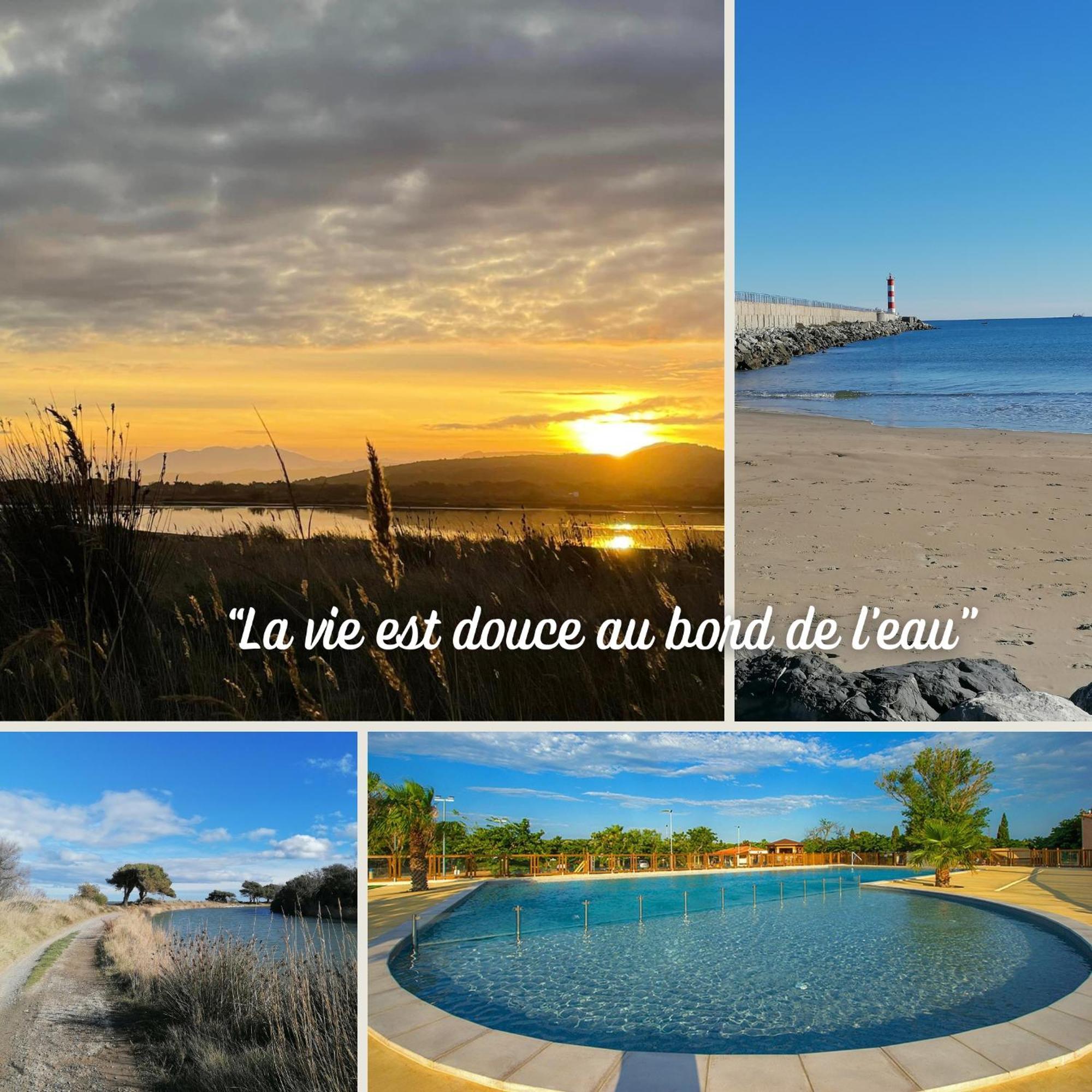 Entre Mer Et Roseaux - Piscine - Proche Centre Et Mer - Petfriendly 포르트라누벨 객실 사진