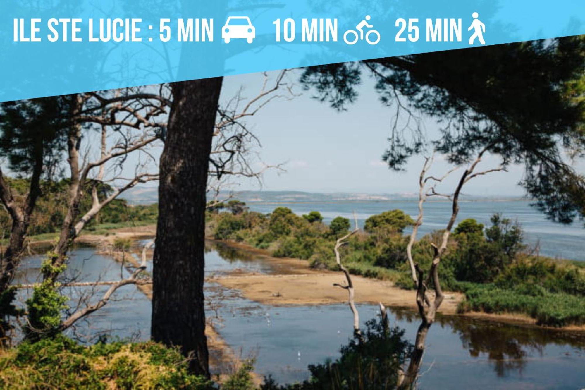 Entre Mer Et Roseaux - Piscine - Proche Centre Et Mer - Petfriendly 포르트라누벨 외부 사진