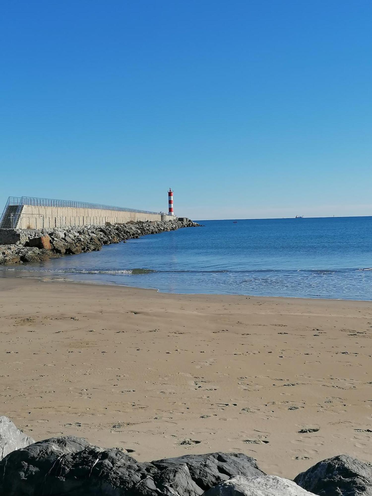 Entre Mer Et Roseaux - Piscine - Proche Centre Et Mer - Petfriendly 포르트라누벨 외부 사진